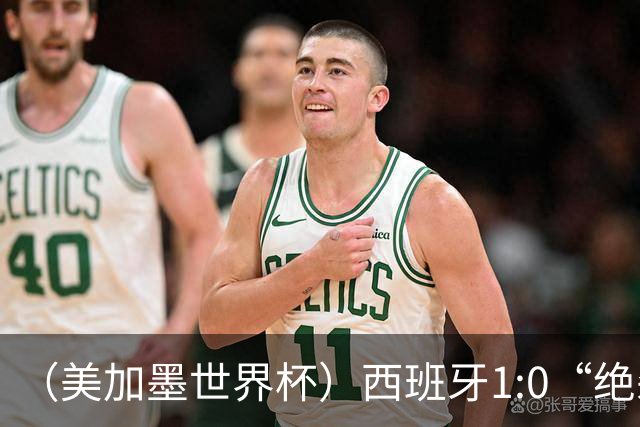 （美加墨世界杯）西班牙1:0“绝杀”葡萄牙 C罗结束世界杯征程